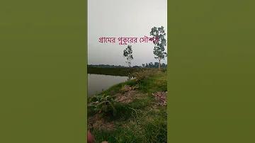 বেলজিয়াম ভিসা স্কটল্যান্ড ক্সি লাইভ স্কোর