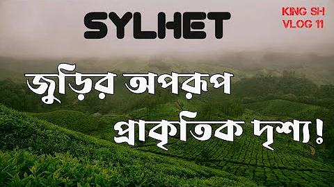গেম y8 ভূত