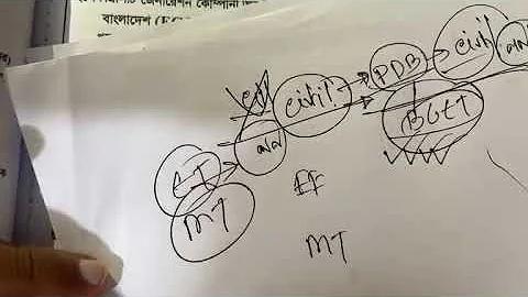 নির্বাহী বিভাগ