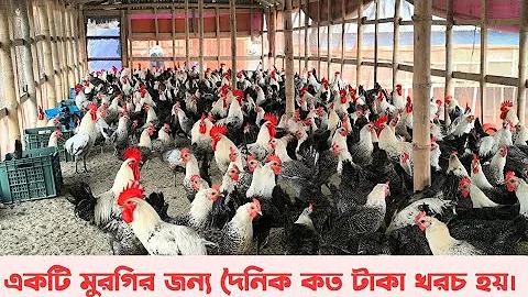 লটারী ১ ৯ ৬১