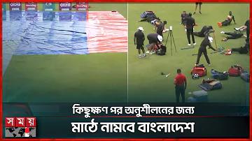 পাখি গাড়িতে বিরক্তি, সঠিক সংখ্যা
