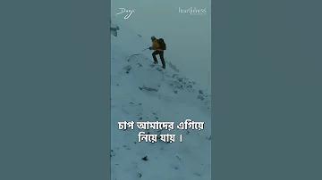 অনলাইন স্লট গেম সাইট