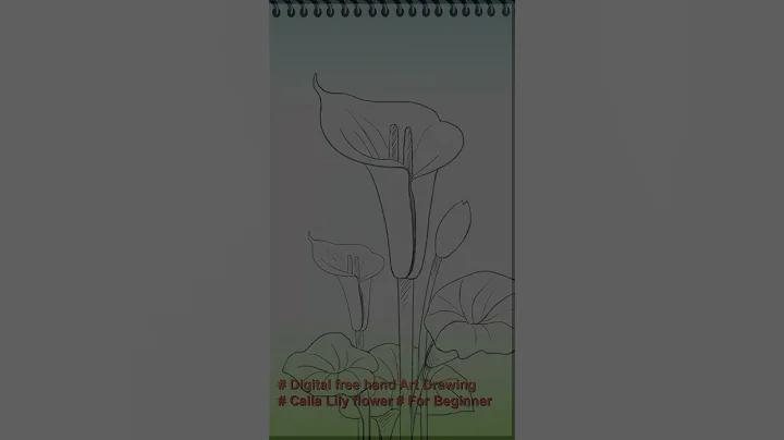 ক্রিকেটে ক্রিজ গার্ড কি