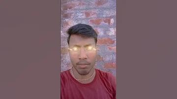 আইপিএল লাইভ শো