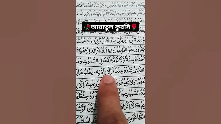 ওয়ার্ল্ড কাপ ক্রিকেট ম্যাচ লাইভ