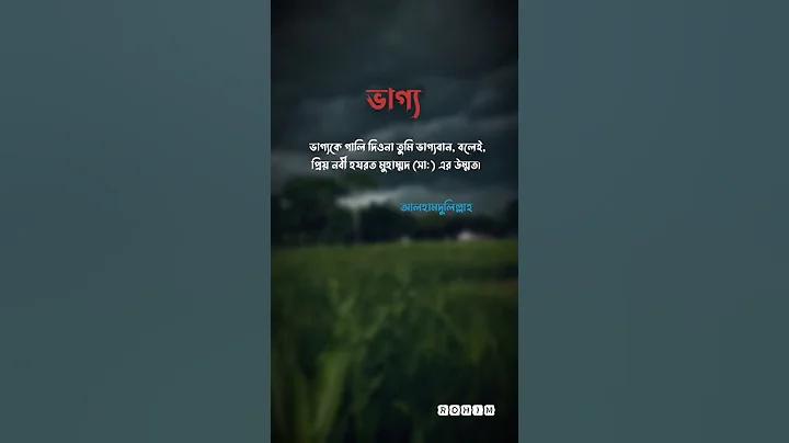 ঝড়ো লাইভ আবহাওয়া