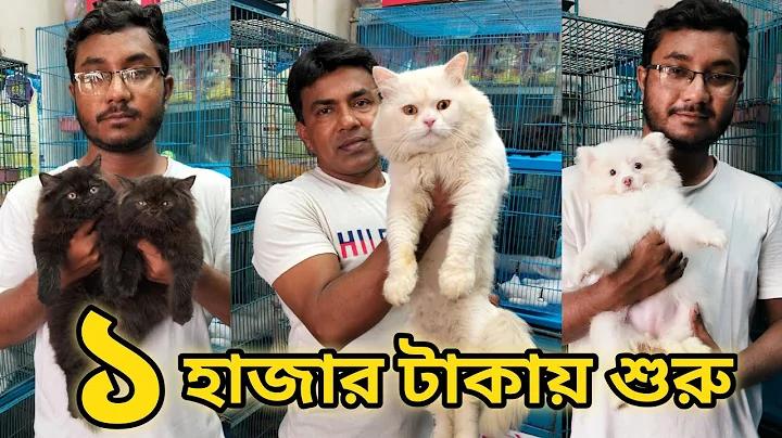 ৩ ঘরা নগদান বই
