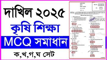 বিডিউইন লাইভ