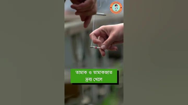 ওয়েব স্লট জনপ্রিয় ১ নম্বর