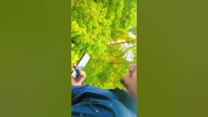 লভ্যাংশ কি