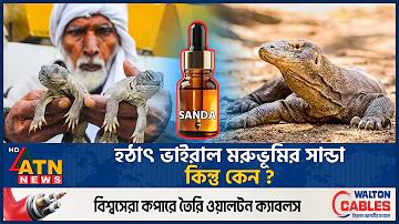 লাইন বেট হলো সেই পরিমাণ বাজি যা আমরা ঝুঁকি নিয়ে বেছে নিই Here's the translation of your text to Bengali: