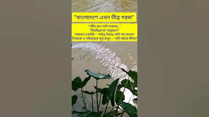 স্লট টাইগার