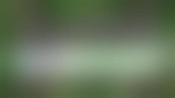 ঢাকায় জুয়া খেলা : ক্লাব হাউজি থেকে ক্যাসিনো