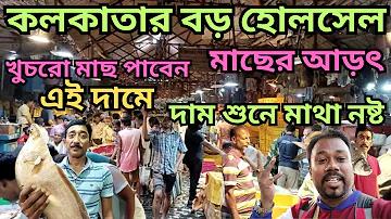 openai chatgpt লগইন করুন
