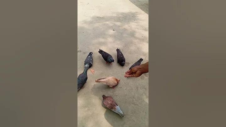নিশ্চিতভাবে নির্ভরযোগ্য খেলাধুলার বাজি