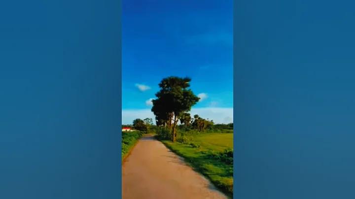 রো ইয়েল