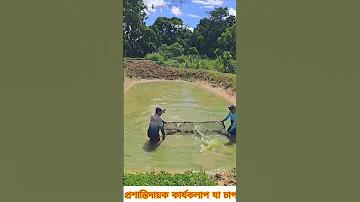 হোর লেক্স ডেক ভিপ ফেসবুক ফ্রি