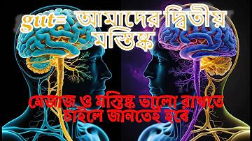 হানোর লটারি পাবলিক