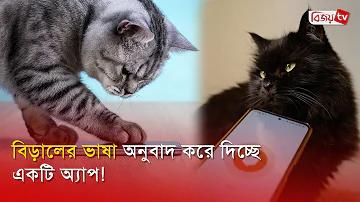 পর্যটন স্পট