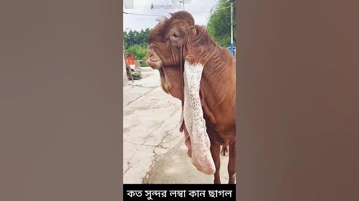 অনলাইনে ট্রেনের টিকিট বুকিং ২৫৬৪