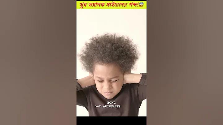 জে ফং বিয়ার 888 সর্বশেষ