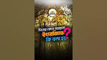 করোনা আতঙ্কে লাস ভেগাসে ক্যাসিনো-হোটেল বন্ধ