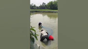 লাইভ ক্যাসিনো অনলাইন এখন খোলা আছে