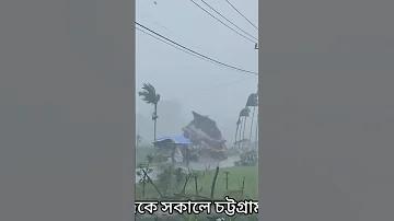 গাজী মটর এক ঘোড়া