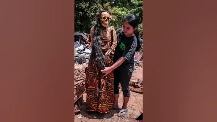 ৭ উইকেট লাইভ