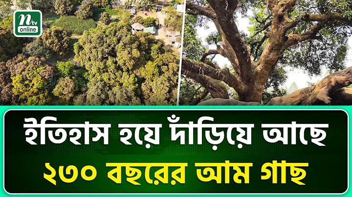কল খেলা