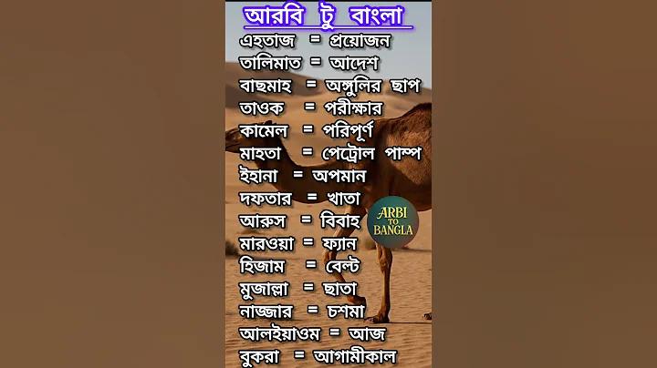 রাতের সৌন্দর্য কবিতা
