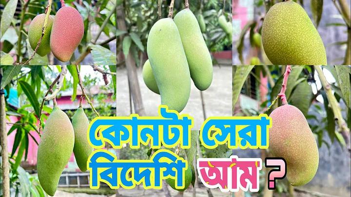 উচ্চমাধ্যমিক পাশে কি কি চাকরি আছে 2024