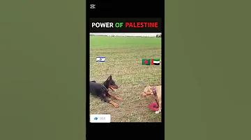 বিকাশ একাউন্ট নাম্বার দেখার নিয়ম