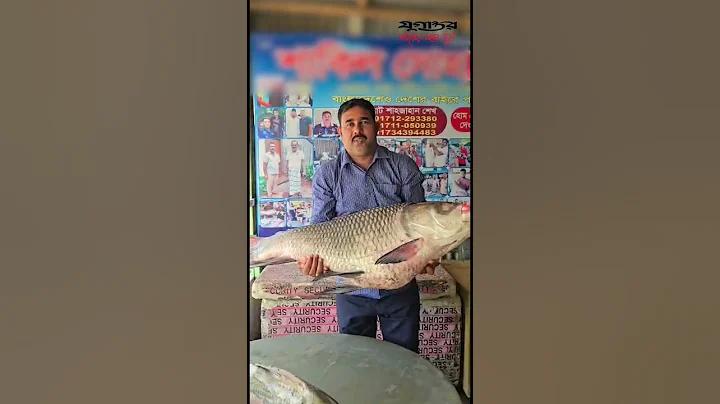 নতুন বছর উপলক্ষে কিছু কথা