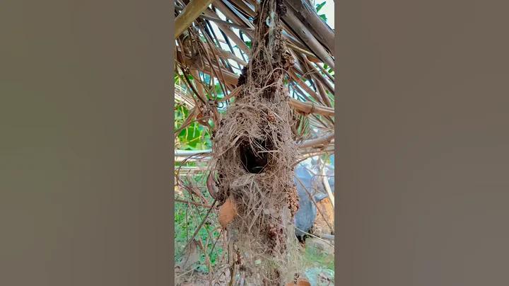 আয় অর্থ কি