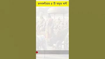 MELBET LOGIN BD | হেডলাইন ত্রিপুরা লাইভ