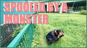 ওয়েব বেটিং পিজি