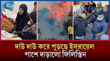 লাইন হলো সেই সংখ্যা যা নির্দেশ করে যে কতগুলো লাইন একটি খেলায় খেলোয়াড় খেলতে পারে যা 1 লাইন থেকে শুরু করে 30 লাইনের মধ্যে হতে পারে