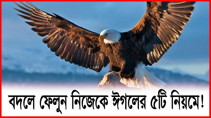 পথের পাঁচালী চলচ্চিত্র নির্মাণে আর্থিক সাহায্য পরিচালক কোথা থেকে পেয়েছিলেন