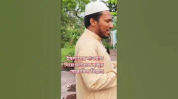 বিশ্ববিদ্যালয় অধ্যয়ন