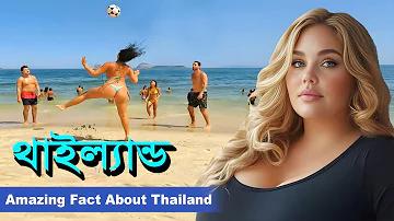 baji patner.com