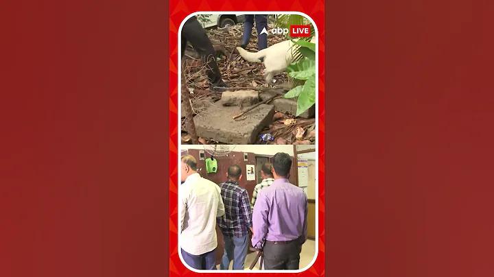 500,000 জ্যাকপট স্ক্র্যাচ অফ