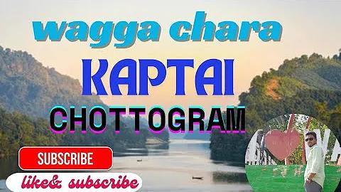 আর্জেন্টিনা বনাম কলম্বিয়া সরাসরি লাইভ