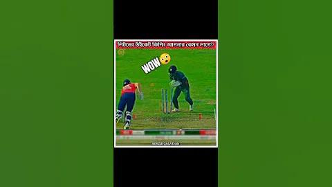 এই জায়গায় খেলা দেখুন