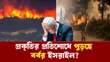 পিজি স্লট গেমের রিভিউ