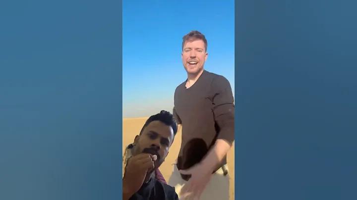 ক্রেডিট ফ্রি ১০০ তুলে নিন ৩০০ টাকা ওয়ালেট