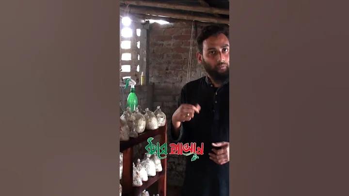 আইপিএল জিটিভি লাইভ