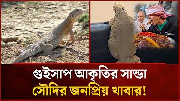 caab এর লিখিত পরীক্ষার প্রশ্ন 2022