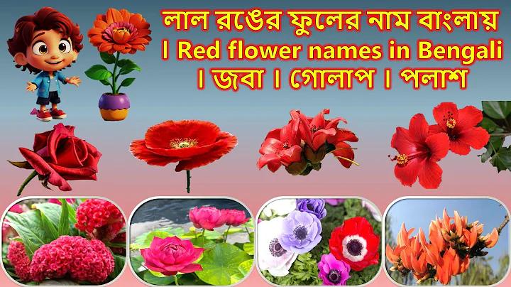 গাড়ি হে