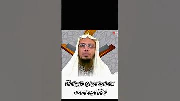 প্রো গেম রোভ